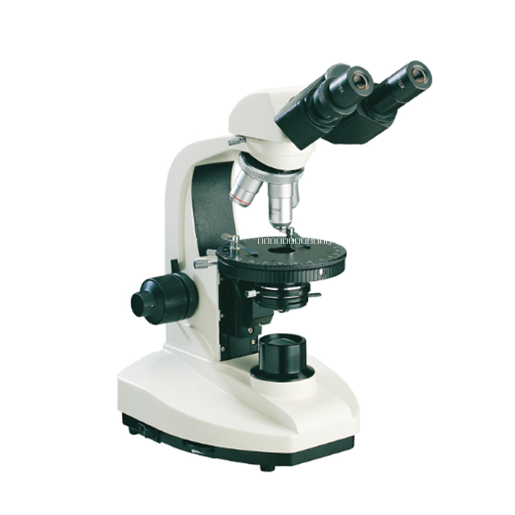 偏光顯微鏡圖片