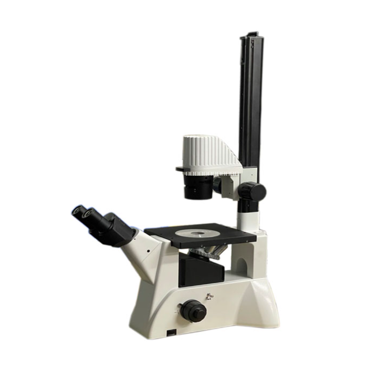 細胞工廠顯微鏡圖片